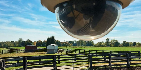 Seguridad y videovigilancia en granjas y fincas ganaderas
